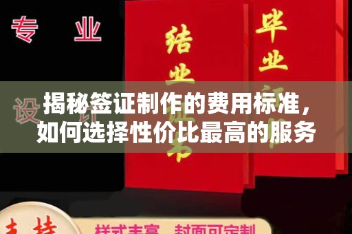 千阳揭秘签证制作的费用标准，如何选择性价比最高的服务？