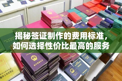 千阳揭秘签证制作的费用标准，如何选择性价比最高的服务？